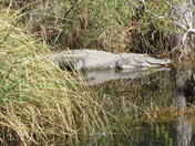 Davis Bayou, Gulf Islands National Seashore