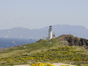 Channel Islands National Park