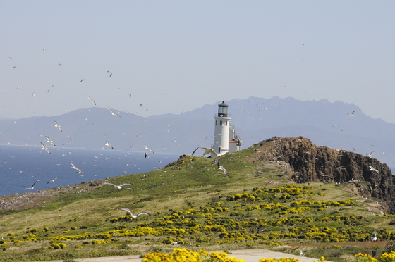 Channel Islands National Park