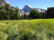 Yosemite National Park