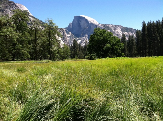 Yosemite National Park