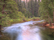 Yosemite National Park