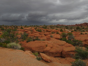 Arches National Park