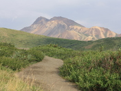 Denali National Park