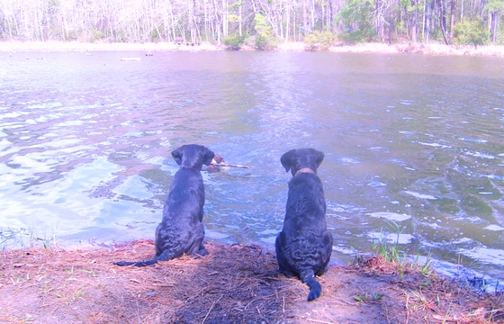 Double Lake Recreation Area