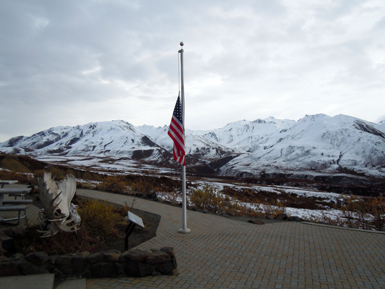 Denali National Park