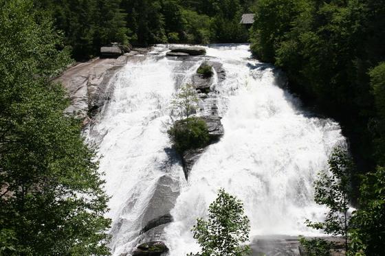 Pisgah Natonal Forest