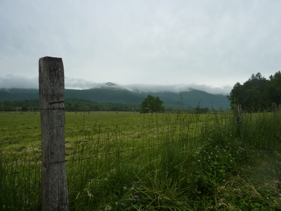 Great Smoky Mountain National Park