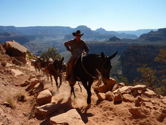 Grand Canyon NP