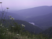 Shenandoah National Park