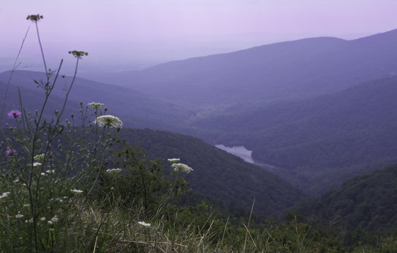 Shenandoah National Park