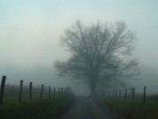 Cades Cove Smokey Mountains