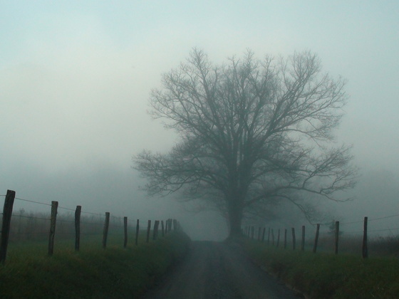 Cades Cove Smokey Mountains