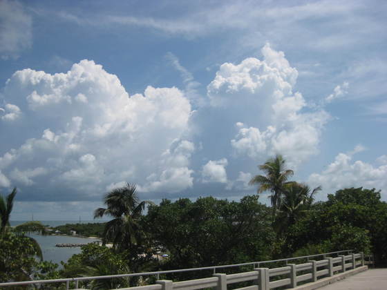 Everglades National Park