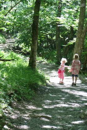 Shenandoah National Park