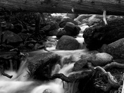 Yosemite National Park