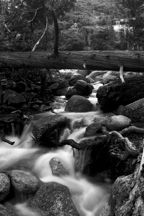 Yosemite National Park
