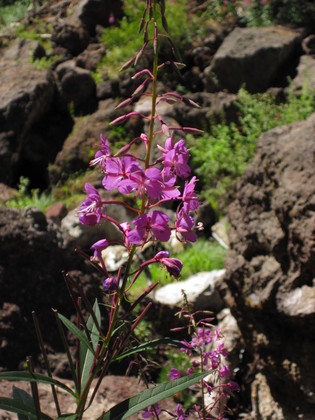 Newberry National Volcanic Monument - Deschutes NF