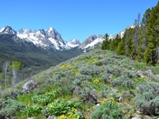 Sawtooth National Forest