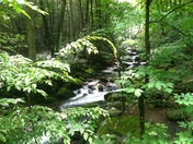 Smokey Mountains