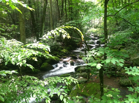 Smokey Mountains