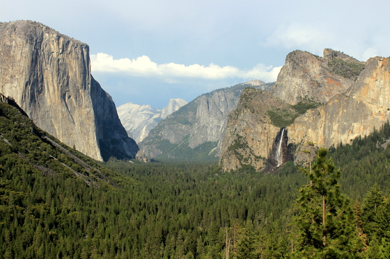 Yosemite National Park