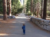 Yosemite National Park