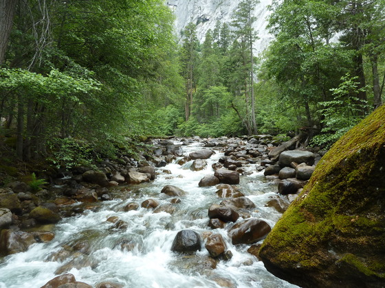 Yosemite National Park