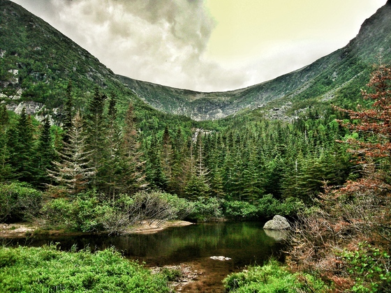 White Mountains National Forest