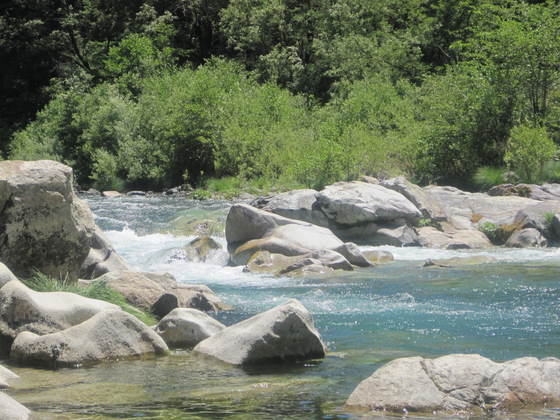 Tahoe National Forest/Fiddle Creek Campground