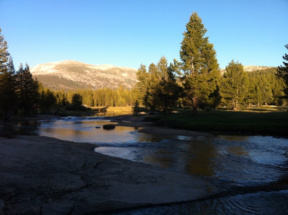 Yosemite National Park