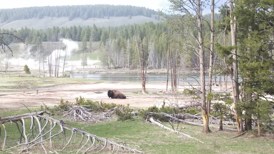 Yellowstone National Park