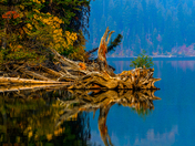 Jenny Lake, Jackson WY