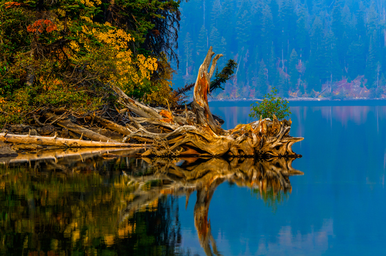 Jenny Lake, Jackson WY