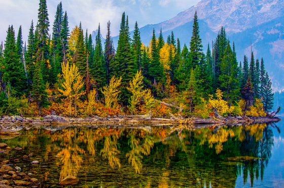Grand Teton National Park
