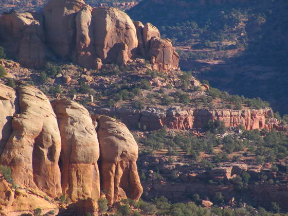 Navajo National Monument