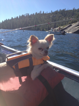 Pinecrest Lake