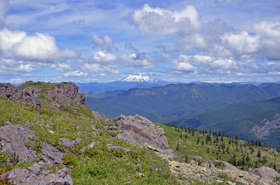 Gifford Pinchot National Forest