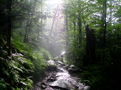Great Smoky Mountains