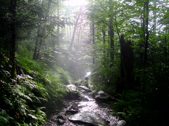 Great Smoky Mountains