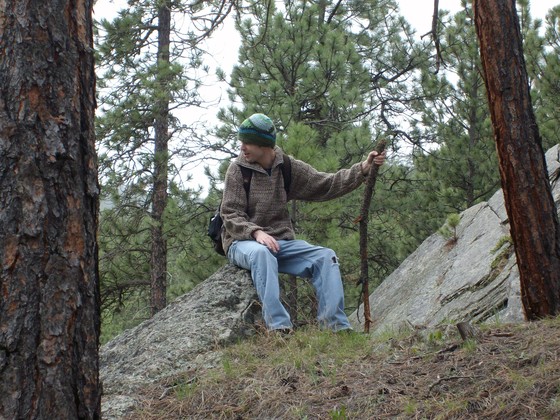 Black Hills National Forest 