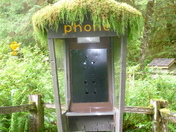 Olympic National Park