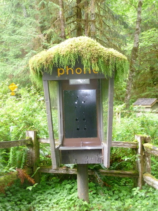 Olympic National Park