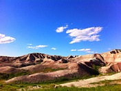 Badlands National Forest