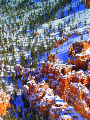 Bryce National Park
