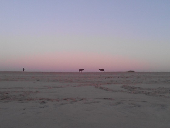 Asseteague Island