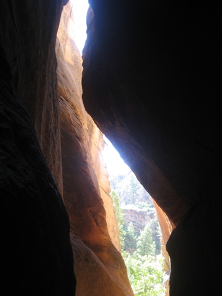 Zion NP