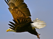 Katmai National Park