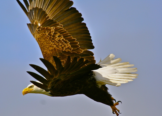 Katmai National Park