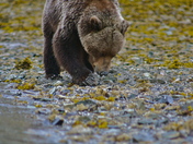 Katmai National Park